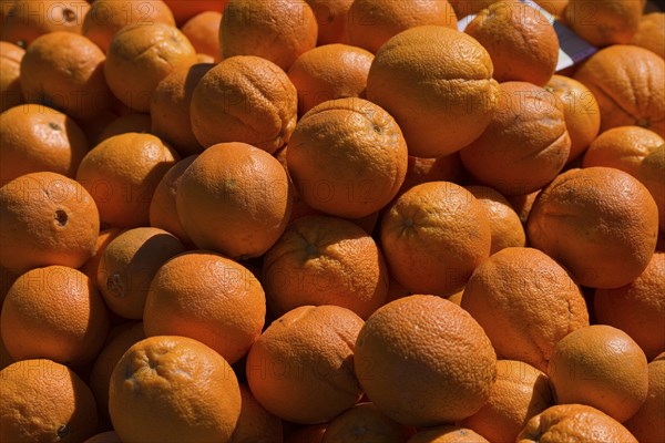 Oranges on display at a market stall Fresh oranges
