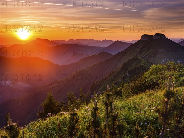 Sunrise over the Osterhorn group and the Hollengebirge, Schlenken, Bad Vigaun, Salzburg province,
