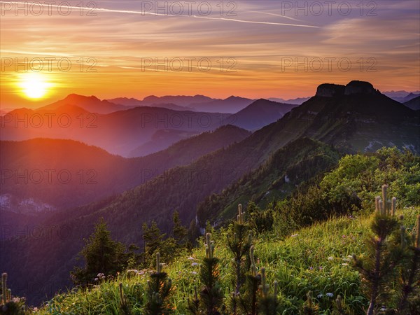 Sunrise over the Osterhorn group and the Hollengebirge, Schlenken, Bad Vigaun, Salzburg province,