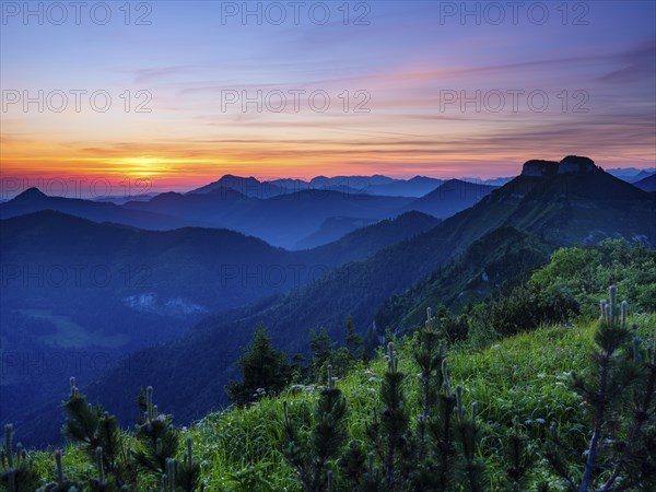 Dawn over the Osterhorn group and the Hollengebirge, Schlenken, Bad Vigaun, Salzburg province,