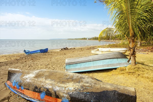 On the beach of Playa Tarcoles Costa Rica