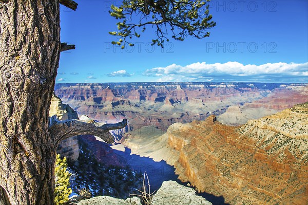 Grand Canyon Arizona