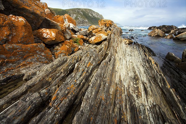 Tsitsikamma National Park South Africa