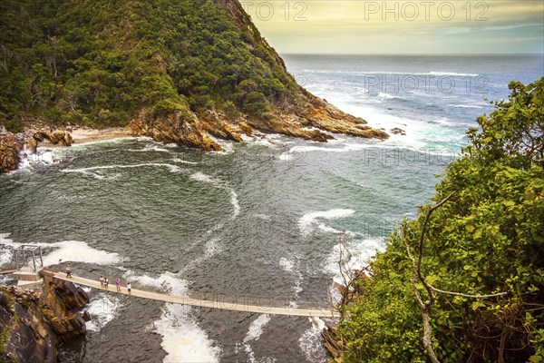 Tsitsikamma National Park South Africa