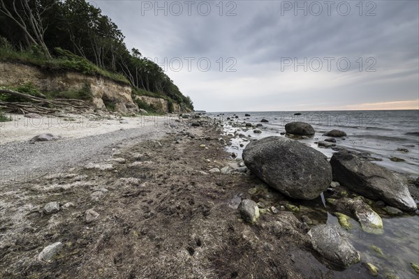 Steep coast, Poel Island, Mecklenburg-Western Pomerania, Germany, Europe