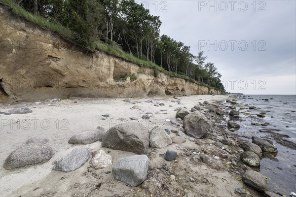 Steep coast, Poel Island, Mecklenburg-Western Pomerania, Germany, Europe