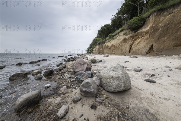 Steep coast, Poel Island, Mecklenburg-Western Pomerania, Germany, Europe