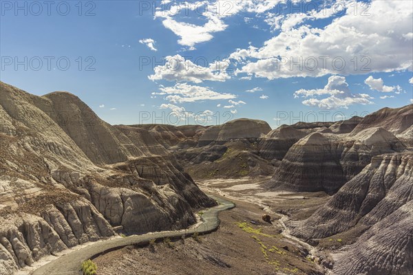 Petrified Forest National Park Vistas