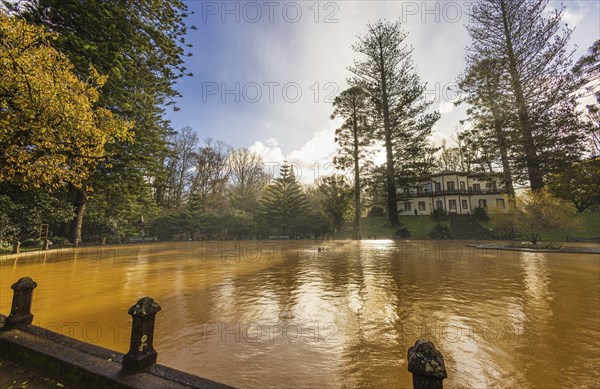 The famous yellow thermal pool in the Terra Nostra botanical garden at Furnas, Sao Miguel island,