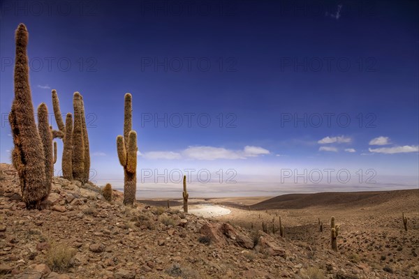 Arid landscape at the Valley of the Moon in Chile