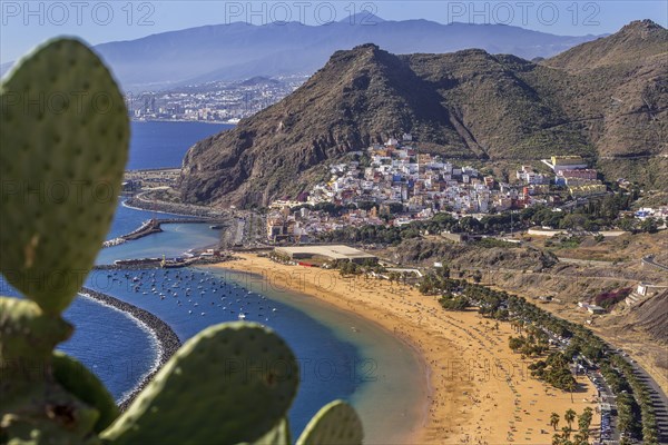 The beach of Las Teresitas, a famous beach near Santa Cruz de Tenerife