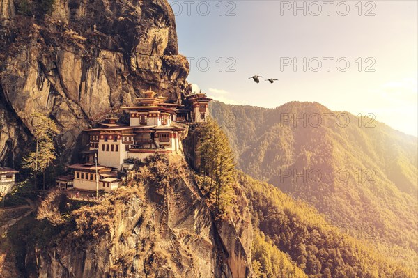 The most sacred place in Bhutan is located on the 3, 000-foot high cliff of Paro valley