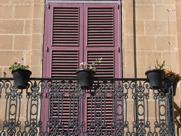 A balcony with wrought-iron railings and pink shutters, decorated with several flower pots in front
