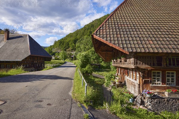 Street with Black Forest houses in the historic district of Geschwend, Todtnau, Black Forest,
