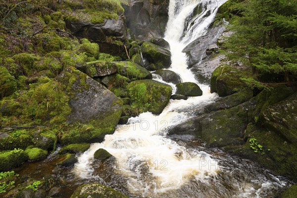 Triberg waterfall in the Black Forest, highest fall in Germany, Gutach river plunges over seven