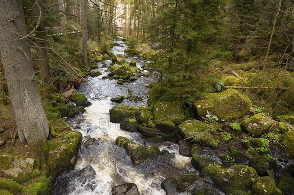 Triberg waterfall in the Black Forest, highest fall in Germany, Gutach river plunges over seven