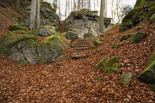 Devil Gorge at the Eifel, Teufelsschlucht with mighty boulders and canyon, hiking trail in Germany,