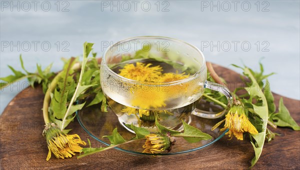 Dandelion wildflower tea, glass with herbal hot drink, alternative medicine for detox, leaves and