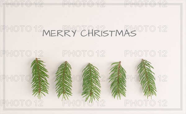 Christmas and new year holiday greeting card and background, winter landscape with fir trees, copy