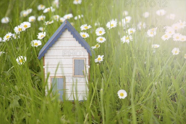 Wooden house in a meadow, buying or renting a house in nature, real estate concept, booking home