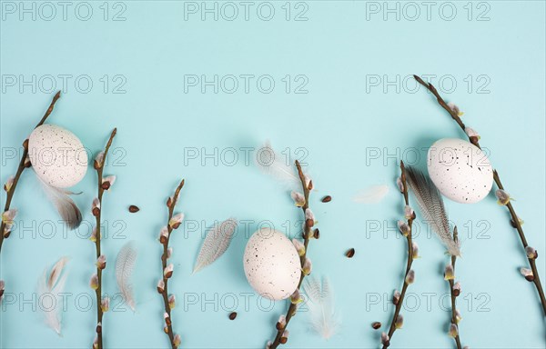Easter holiday background, nest with small eggs, branches of pussy willow, greeting card, spring