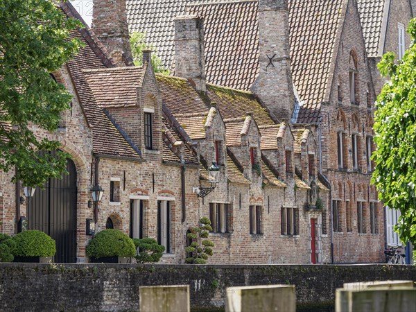 Historic brick building with decorative gables and green tree in sunny weather, Bruges, Flanders,