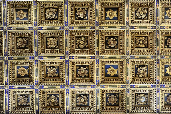 Casette ceiling in the nave, Cathedral of Santa Maria Assunta, Pisa, Tuscany, Italy, Europe,