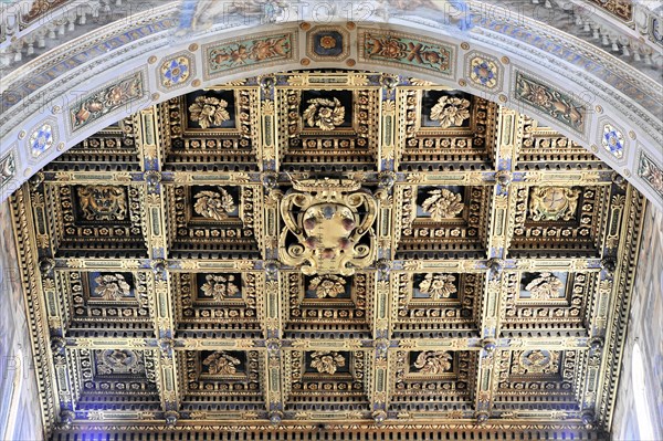Casette ceiling in the nave, Cathedral of Santa Maria Assunta, Pisa, Tuscany, Italy, Europe,