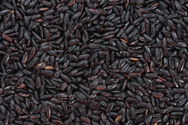 Portion of Black Rice (for use as background image or as texture)