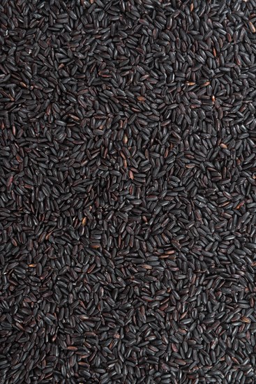 Portion of Black Rice (for use as background image or as texture)