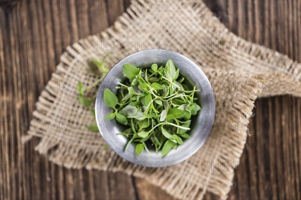 Old wooden table with fresh Thyme (close-up shot, selective focus)