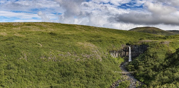 Svartifoss waterfall in the Skaftafell National Park Iceland during a summer day