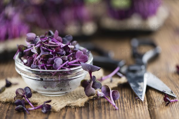 Cutted Cress on a vintage background as detailed close-up shot (selective focus)