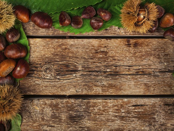 Frame of chestnuts, leaves and chestnut bur on wooden table