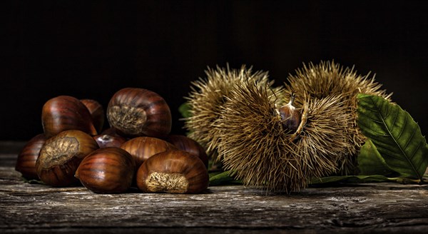 Chestnuts and chestnut bur on wooden table. Light painting technique
