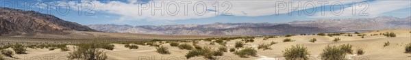 Mesquite Sand Dunes (Death Valley National Park, California, USA)