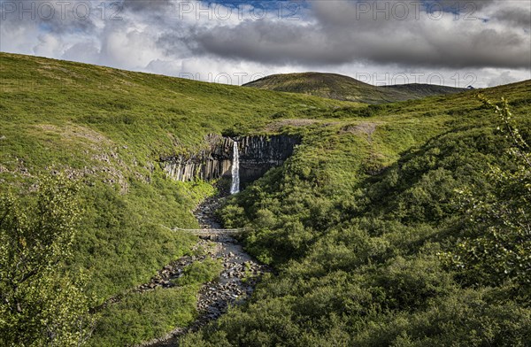 Svartifoss waterfall surrounded by dark basalt columns in Iceland