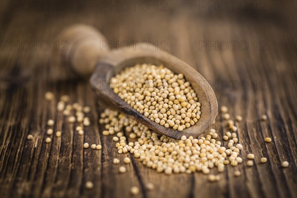 Mustard Seeds on a vintage background as detailed close-up shot (selective focus)