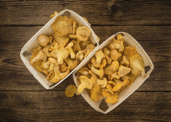 Portion of fresh harvested Chanterelles