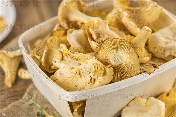 Fresh harvested Chanterelles (on a wooden table) as detailed close-up shot