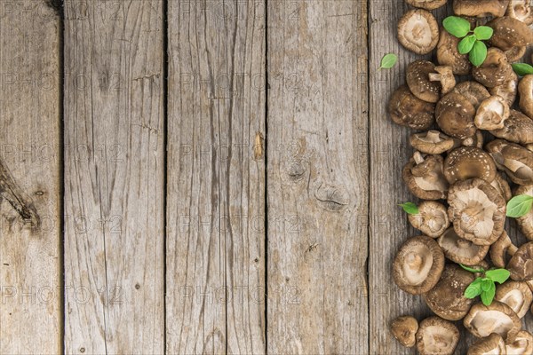 Shiitake mushrooms on a vintage background as detailed close-up shot, selective focus