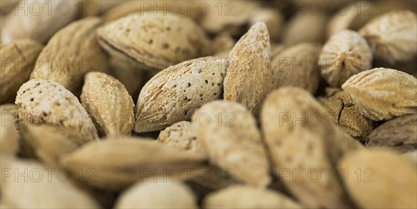 Roasted Almonds (in shell) as full size background image (selective focus)