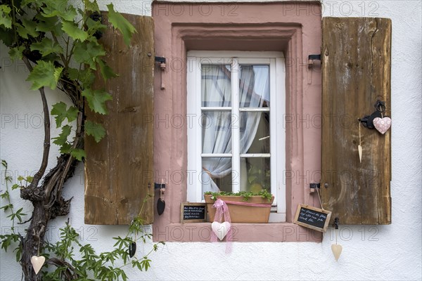 Window with shutters, grapevine and heart decoration, Southern Palatinate, Palatinate,