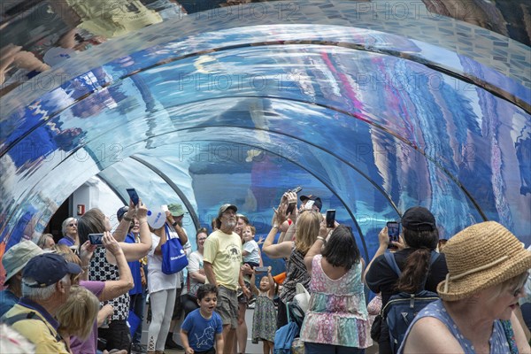 Detroit, Michigan, Visitors to the Detroit Zoo view sea life, including polar bears, in an