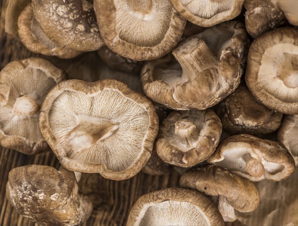 Portion of fresh Shiitake mushrooms close-up shot, selective focus