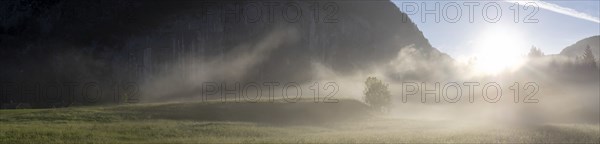 Morning atmosphere at sunrise, early morning fog over a meadow, behind the Gossler Wand, panoramic