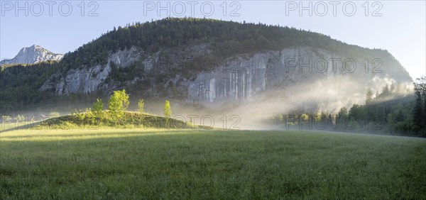 Morning atmosphere, early morning fog over a meadow, behind the Gossler Wand, panoramic shot,