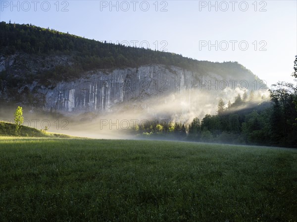 Morning atmosphere at sunrise, early morning fog over a meadow, behind the Gossler Wand, Gossl,