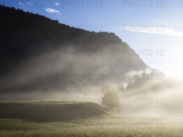 Morning atmosphere at sunrise, early morning fog over a meadow, behind the Gossler Wand, Gossl,
