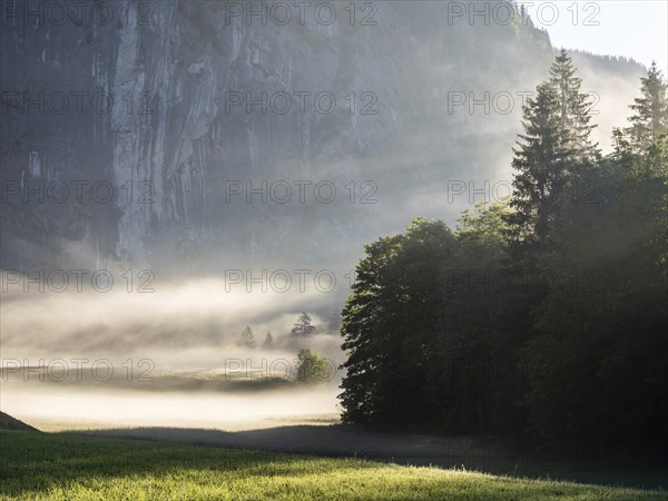 Early morning fog over forest and fields, Gossler Wand, Gossl, Salzkammergut, Styria, Austria,